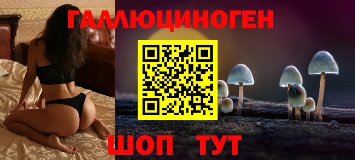 Саров  Псилоцибиновые грибы мухоморы  Вход с VPN 