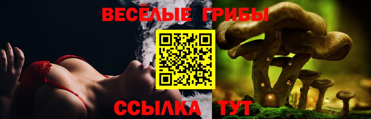 Галлюциногенные грибы прущие грибы Саров