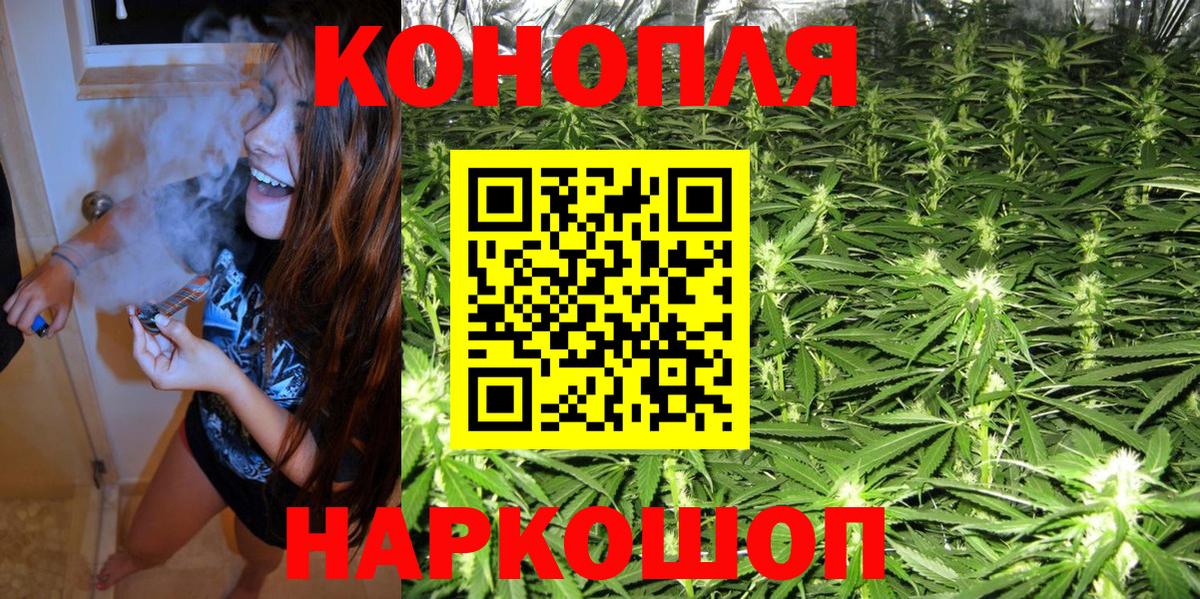 Марихуана ГИДРОПОН  Канабис семена  Вход с VPN  Канабис SATIVA & INDICA  Саров 